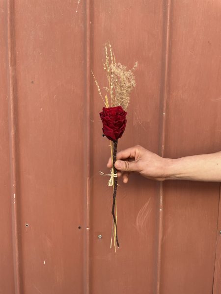 Rosa preservada Roja