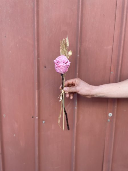 Rosa preservada rosada