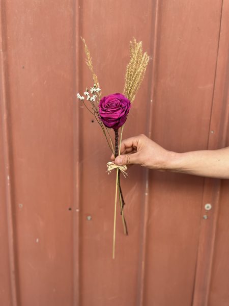 Rosa preservada fucsia