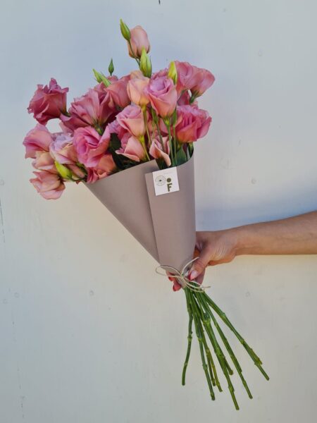 Lisianthus Rosados.