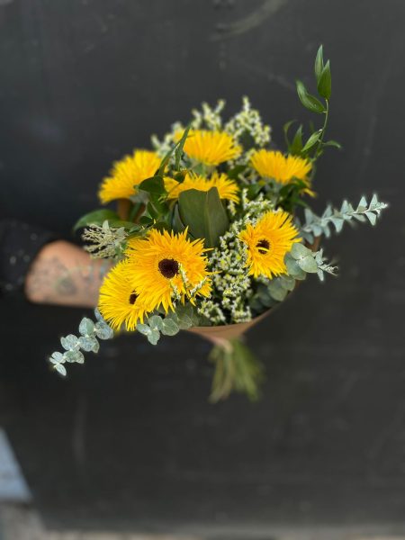 Gerbera