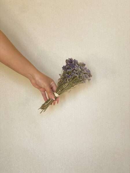 Mini limonium morado
