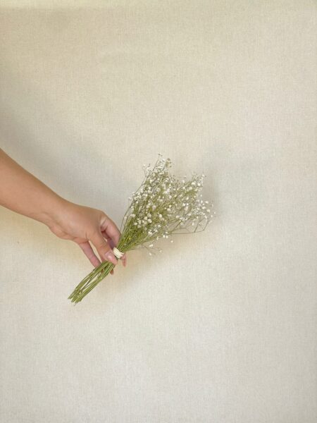 Mini gypsophilia