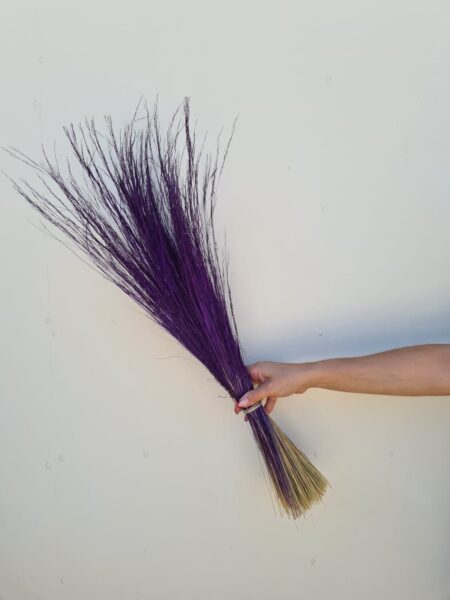Pelillo Morado