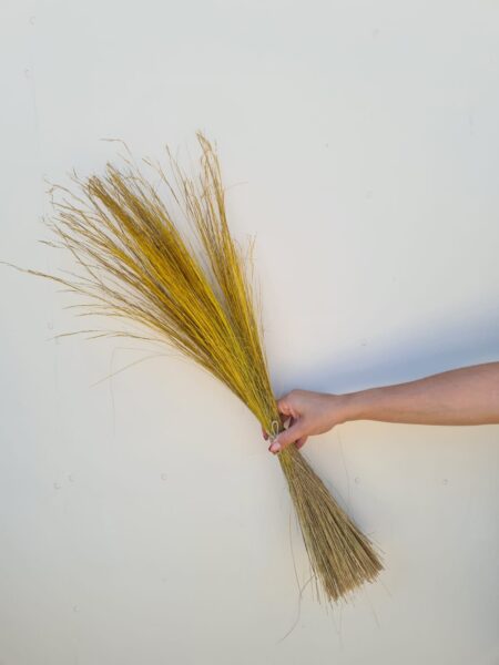 Pelillo Amarillo