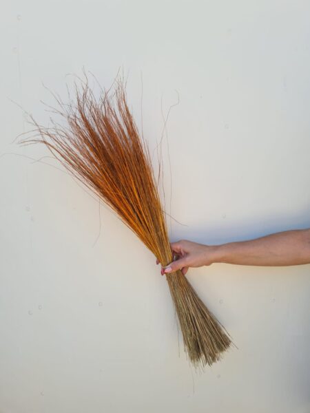 Pelillo Naranja