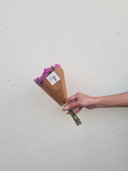 Mini estatice fucsia