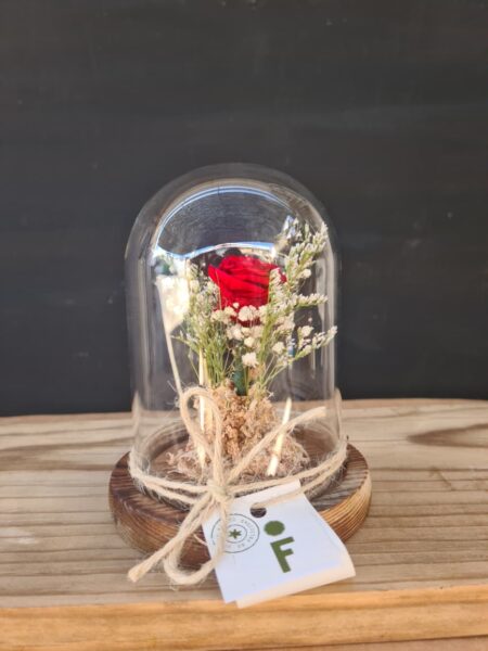 Cúpula Especial Mini rosa Roja.