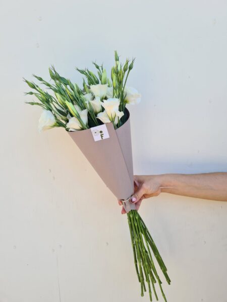 Lisianthus Blanco