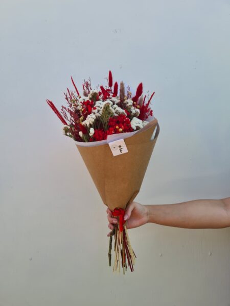 Mix seco-preservado Antique Navidad xS.