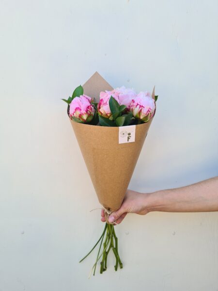 Peonías Rosadas.