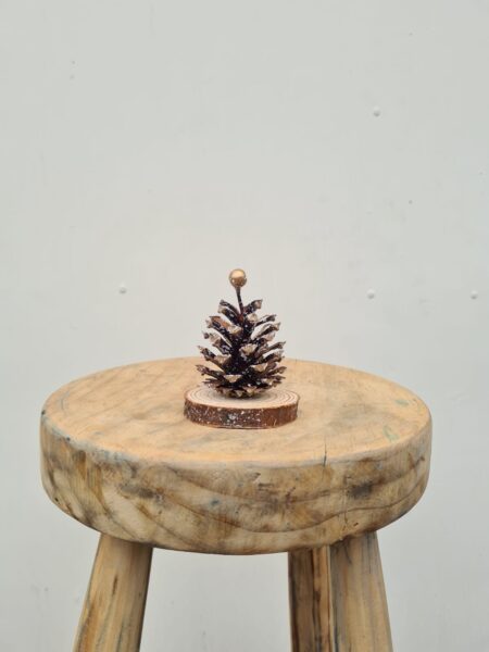 Piñita de Pino Decorada.