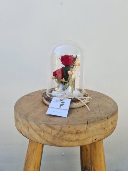 Mini Fanal Navideño.