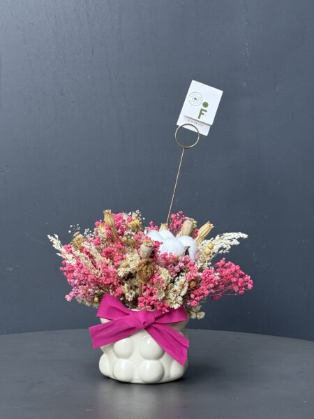 Arreglo Seco Trini tierra.