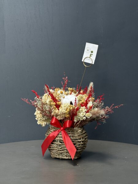 Canasto Pampita rojo.