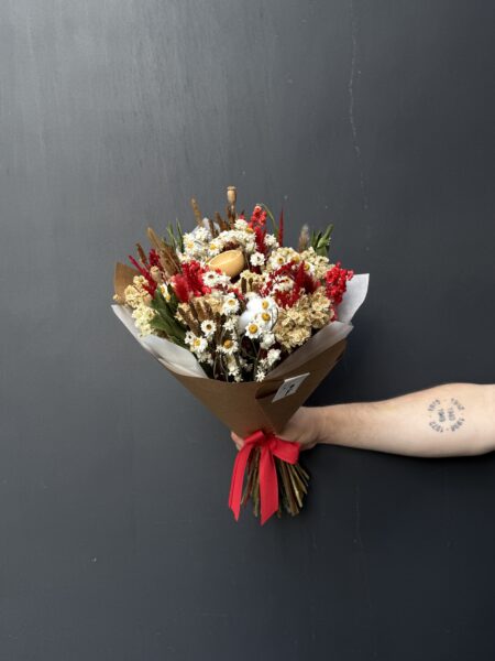 Especial Seco Lucía S.