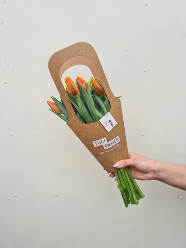 Tulipanes Naranja - Imagen 2