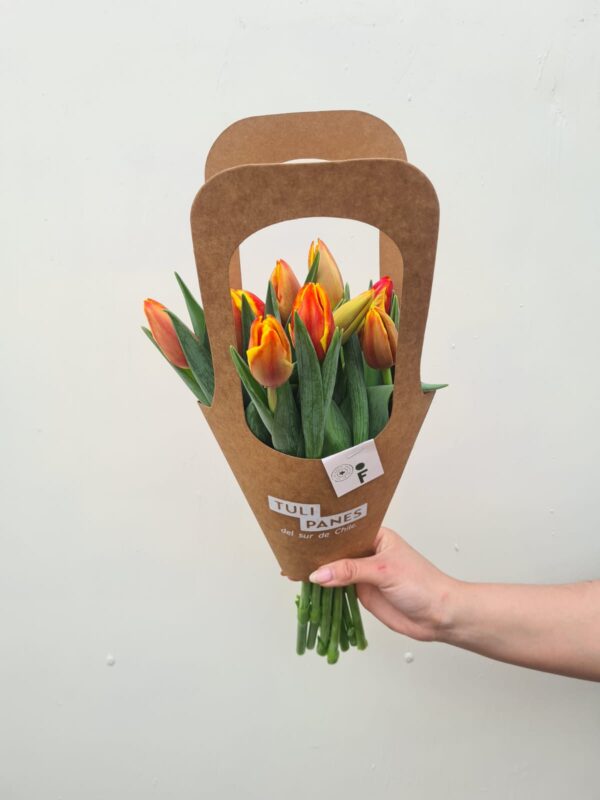 Tulipanes Naranja - Imagen 3
