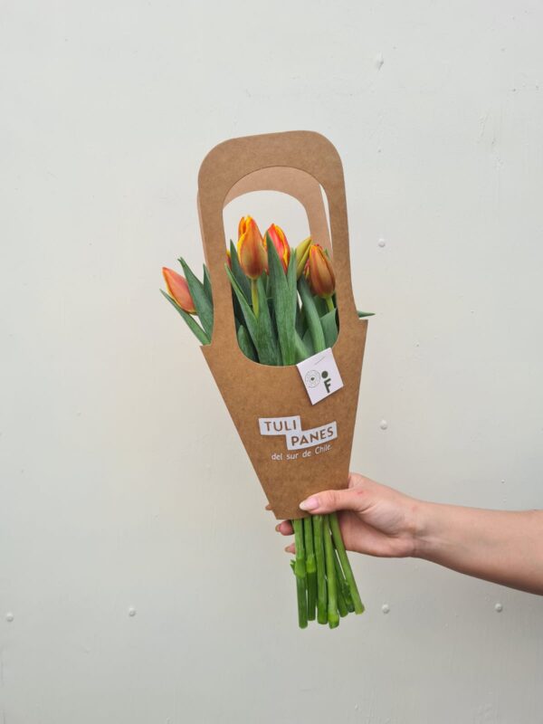 Tulipanes Naranja