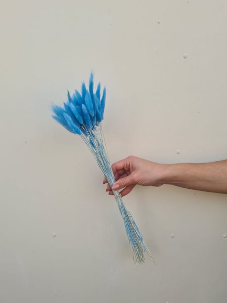 Bunny Tails Azul