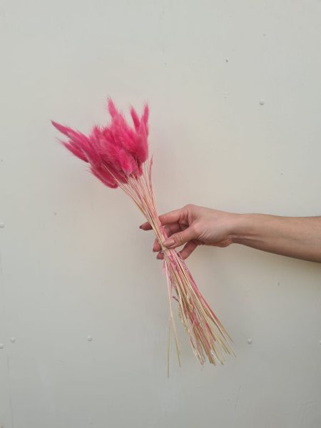Bunny Tails Fucsia