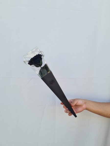 Rosa preservada cono Negra.
