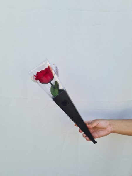 Rosa preservada Cono Roja.