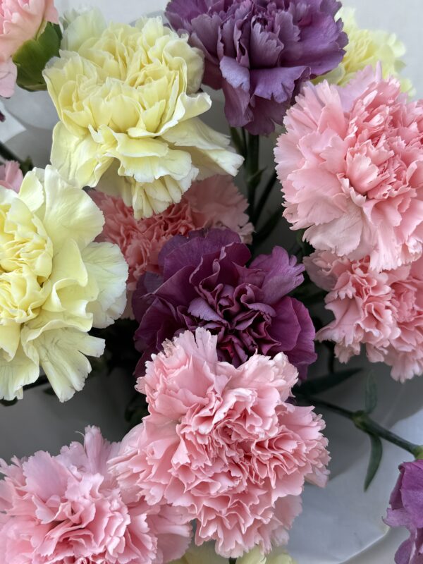 Ramo de claveles. - Imagen 4