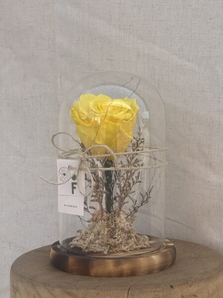 Cúpula Rosa amarilla.