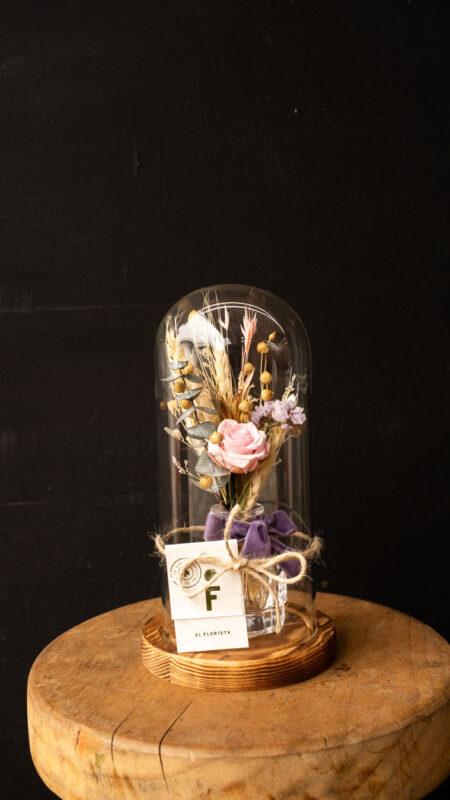 Cúpula Encantada Edición Mamá.