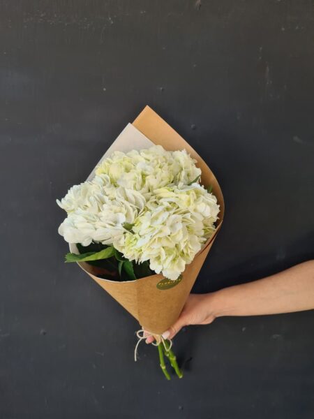 Trío de Hortensias Blancas.